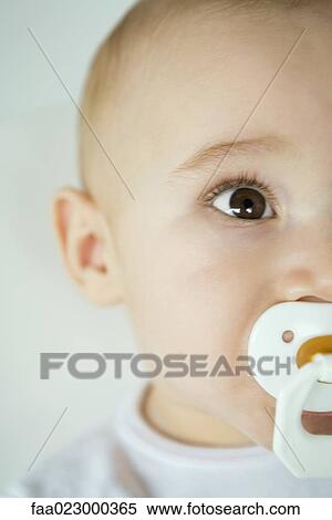Baby with pacifier in mouth, close-up, cropped view View Large Photo Image Stock Photography - Baby with pacifier in mouth, close-up, cropped view. Fotosearch