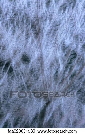 Bare tree, long exposure, full frame View Large Photo Image Stock Photo - Bare tree, long exposure, full frame. Fotosearch