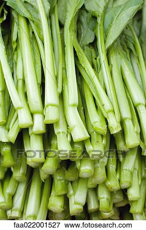 Bok choy stems, close-up View Large Photo Image Stock Photo - Bok choy stems, close-up. Fotosearch