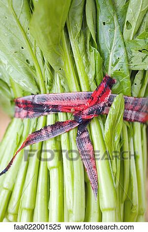 Stock Photography - Bundle of mustard greens, close-up. Fotosearch