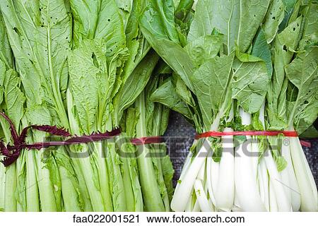 Stock Image - Bundles of mustard greens and bok choy. Fotosearch