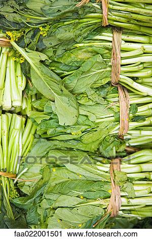 Bundles of mustard greens, full frame View Large Photo Image Stock Image - Bundles of mustard greens, full frame. Fotosearch