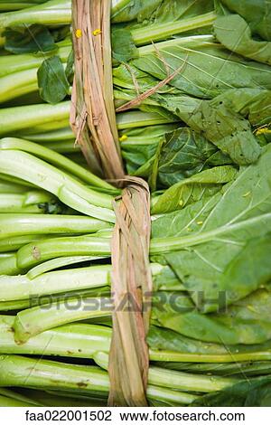 Bundles of mustard greens, full frame View Large Photo Image Stock Image - Bundles of mustard greens, full frame. Fotosearch