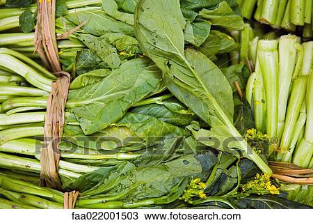 Bundles of mustard greens, full frame View Large Photo Image Stock Image - Bundles of mustard greens, full frame. Fotosearch