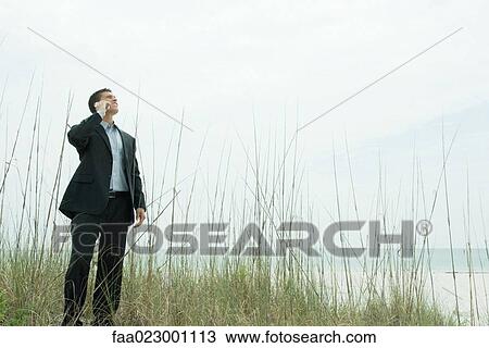 Stock Image - Businessman standing among tall reeds, using cell phone, looking up. Fotosearch