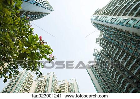 China, Guangdong Province, Guangzhou, high rises and tree in blossom, low angle view View Large Photo Image Stock Image - China, Guangdong Province, Guangzhou, high rises and tree in blossom, low angle view. Fotosearch