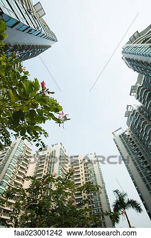China, Guangdong Province, Guangzhou, high rises and trees in blossom, low angle view View Large Photo Image Stock Image - China, Guangdong Province, Guangzhou, high rises and trees in blossom, low angle view. Fotosearch