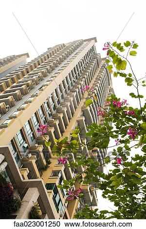Stock Image - China, Guangdong Province, Guangzhou, high rise and tree in blossom. Fotosearch