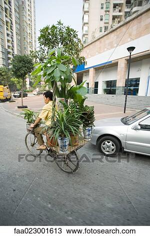 Stock Image - China, Guangdong Province, Guangzhou, man transporting houseplants on bicycle. Fotosearch