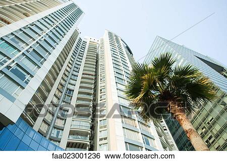 China, Guangdong Province, Guangzhou, high rises and palm tree, low angle view View Large Photo Image Stock Photograph - China, Guangdong Province, Guangzhou, high rises and palm tree, low angle view. Fotosearch
