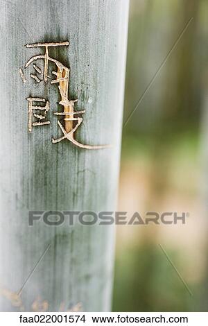 Picture - Chinese characters carved into bamboo, close-up. Fotosearch