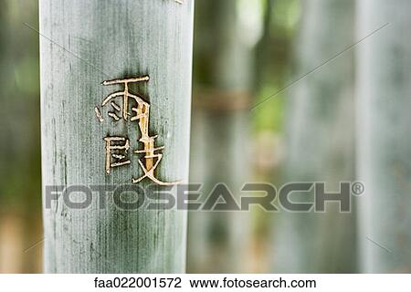 Stock Image - Chinese characters carved into bamboo, close-up. Fotosearch