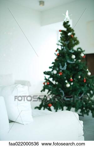Christmas tree in sparse living room View Large Photo Image Stock Photograph - Christmas tree in sparse living room. Fotosearch