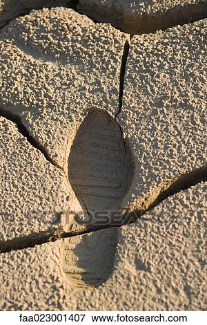 Stock Photo - Cracked dry soil with shoeprint, full frame. Fotosearch