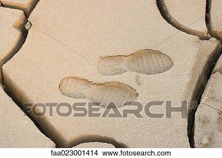 Picture - Cracked dry soil with shoeprints, full frame. Fotosearch