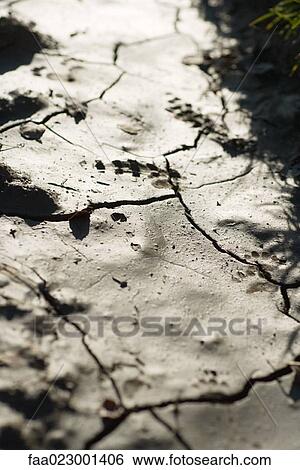 Stock Photograph - Cracked soil, full frame. Fotosearch
