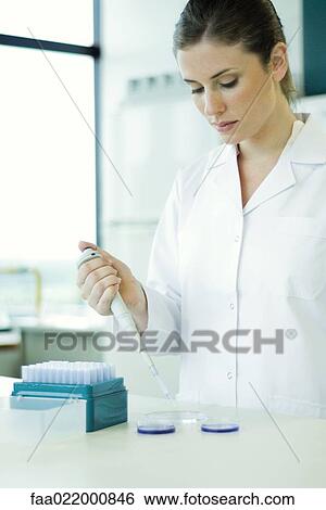 Stock Photograph - Female lab worker dropping solution into Petri dish. Fotosearch