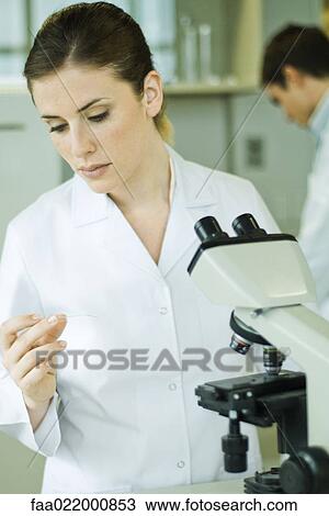 Female lab worker standing next to microscope, holding up and inspecting slide View Large Photo Image Stock Image - Female lab worker standing next to microscope, holding up and inspecting slide. Fotosearch