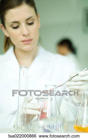 Female scientist working in laboratory View Large Photo Image Stock Photograph - Female scientist working in laboratory. Fotosearch