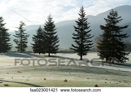 Frost-covered golf course in mountains View Large Photo Image Stock Image - Frost-covered golf course in mountains. Fotosearch