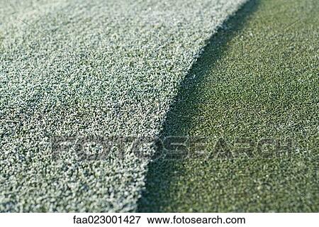 Stock Photo - Frost-covered golf green, full frame. Fotosearch
