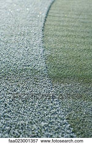 Stock Photo - Frost-covered grass. Fotosearch