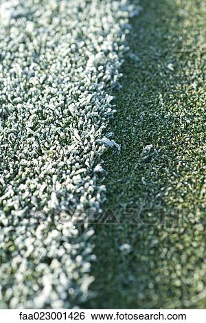 Stock Photograph - Frost-covered grass. Fotosearch