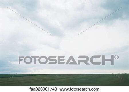 Green field and cloudy sky View Large Photo Image Stock Image - Green field and cloudy sky. Fotosearch