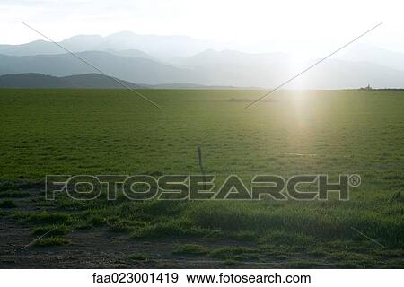 Green field with mountains in background View Large Photo Image Stock Photo - Green field with mountains in background. Fotosearch