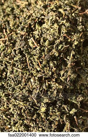 Stock Image - Green tea, full frame. Fotosearch