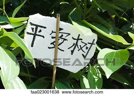 Stock Photo - Label on plant in Chinese characters. Fotosearch