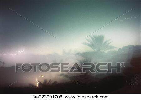 Stock Photo - Lightning and palm tree, double exposure. Fotosearch