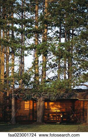 Log cabin in woods View Large Photo Image Picture - Log cabin in woods. Fotosearch