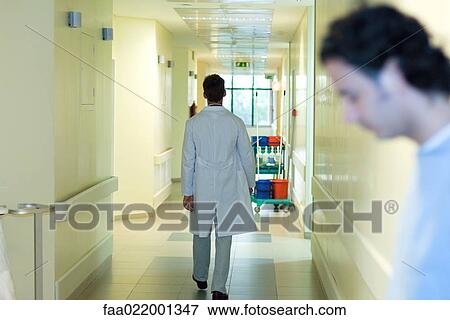 Stock Photo - Male doctor walking in hospital corridor, full length, rear view, man in foreground. Fotosearch