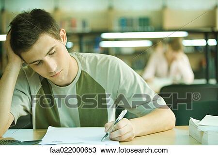 Male student studying in library View Large Photo Image Stock Image - Male student studying in library. Fotosearch