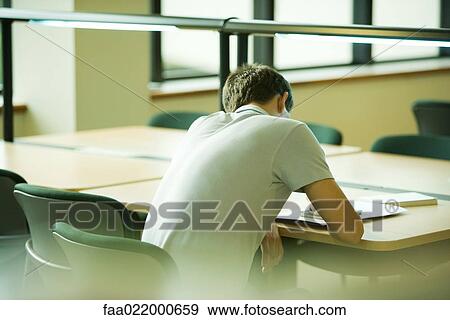 Male student studying, rear view View Large Photo Image Stock Photo - Male student studying, rear view. Fotosearch