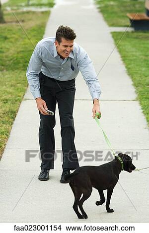 Picture - Man walking dog on sidewalk, bending forward, smiling. Fotosearch