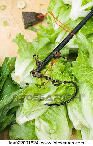Metal hook lying on heap of lettuce View Large Photo Image Picture - Metal hook lying on heap of lettuce. Fotosearch