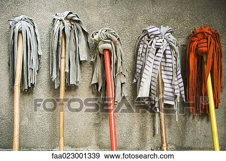 Mops leaning against wall View Large Photo Image Stock Photo - Mops leaning against wall. Fotosearch