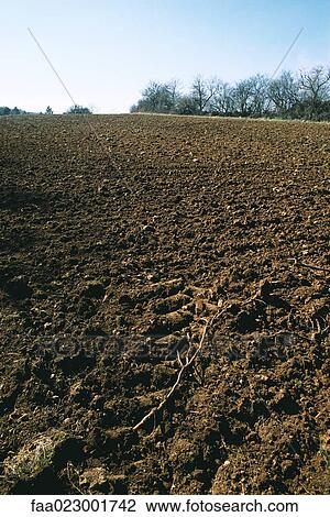 Plowed field View Large Photo Image Stock Image - Plowed field. Fotosearch