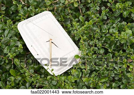 Stock Image - Polystyrene container and chopsticks littering bushes. Fotosearch