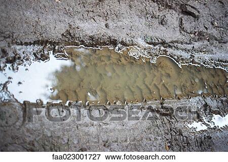Puddle in tire track View Large Photo Image Stock Photo - Puddle in tire track. Fotosearch