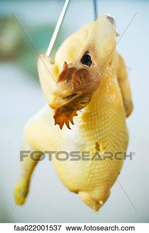 Stock Photo - Raw skinned chicken hanging from hook. Fotosearch