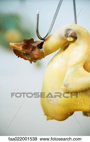 Raw skinned chicken hanging from hook View Large Photo Image Stock Photo - Raw skinned chicken hanging from hook. Fotosearch