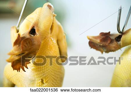 Raw skinned chickens hanging from hooks View Large Photo Image Stock Photograph - Raw skinned chickens hanging from hooks. Fotosearch