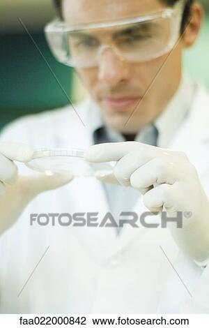 Researcher wearing protective goggles picking up Petri dish View Large Photo Image Stock Image - Researcher wearing protective goggles picking up Petri dish. Fotosearch
