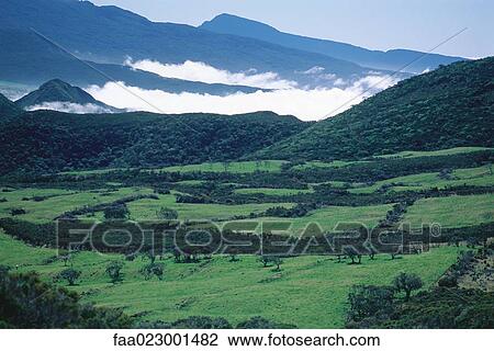 Reunion, low lying clouds in mountainous landscape View Large Photo Image Stock Image - Reunion, low lying clouds in mountainous landscape. Fotosearch