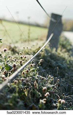 Stock Photography - Rural fence, low angle view. Fotosearch
