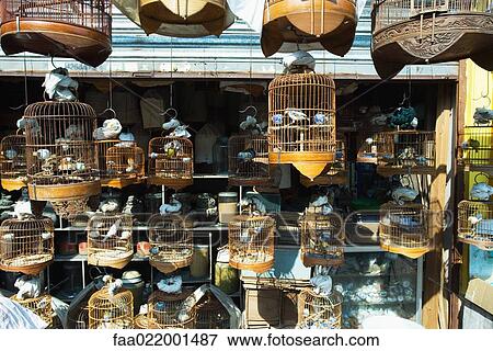 Shop full of birds and birdcages View Large Photo Image Stock Photo - Shop full of birds and birdcages. Fotosearch