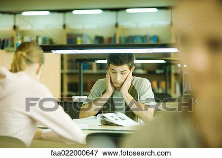 Students studying in library View Large Photo Image Stock Photo - Students studying in library. Fotosearch